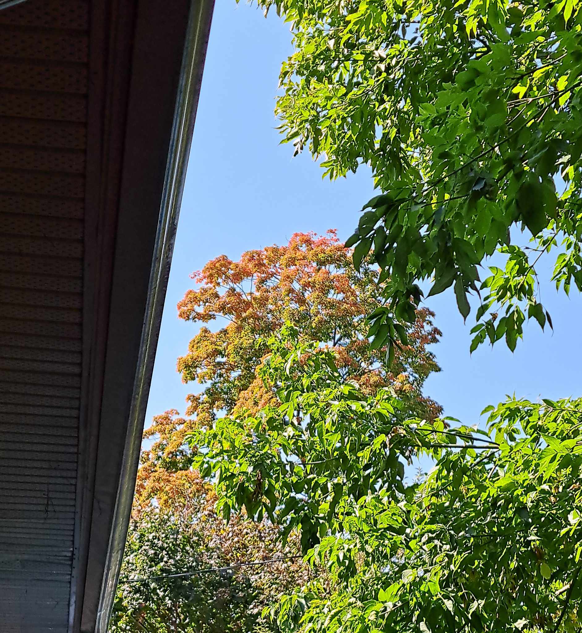 The Seasons are a’Changing… I think…