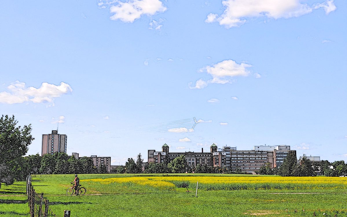 Header Image