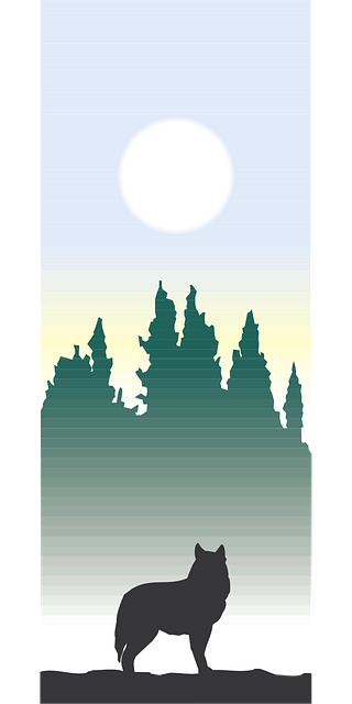 I Heard Coyotes Sing