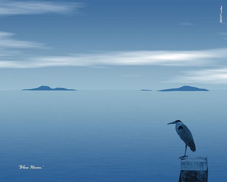 Ocean of Silence Goes Video